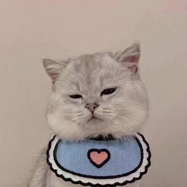 想念