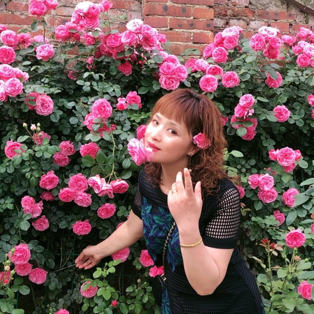 风与过往☁️💃