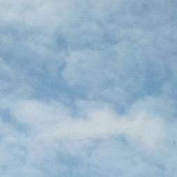 我会发财💲💸