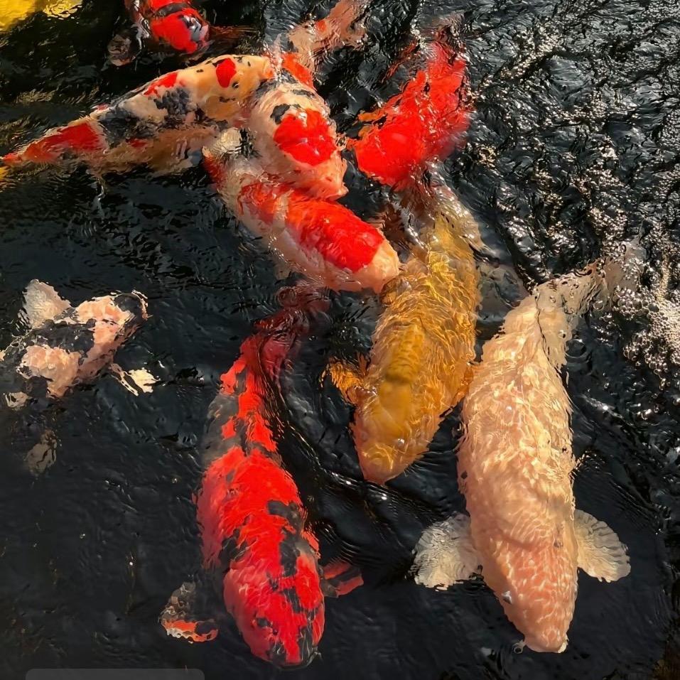 🌈🌈周末钓鱼☔️🎣