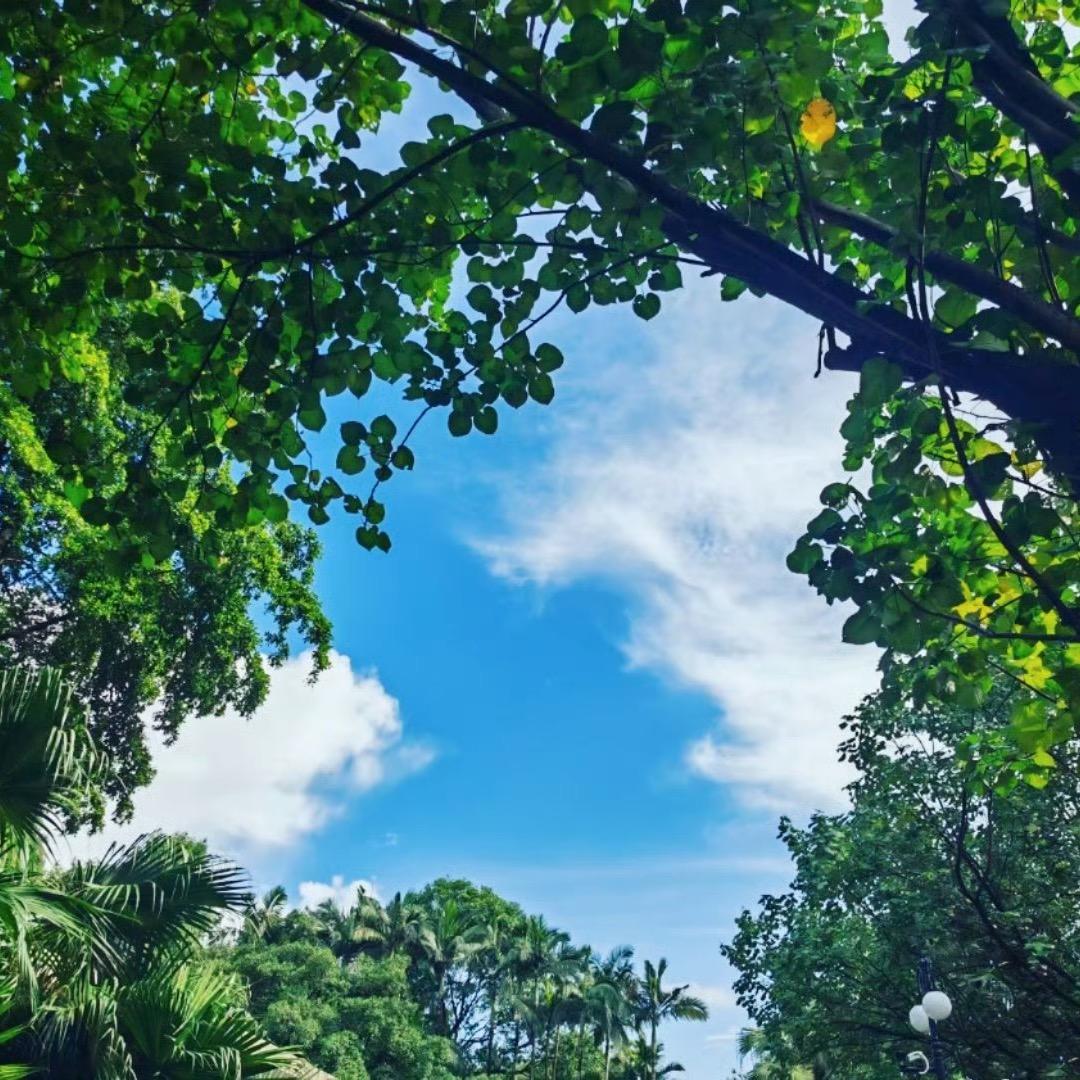 🌲🌲🌲肉肉 💦