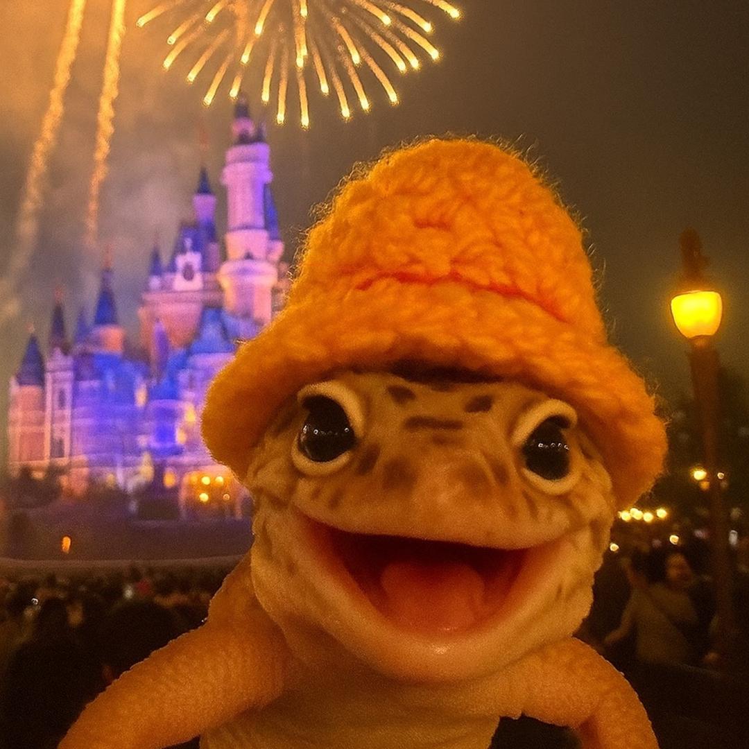 Dr爬宠世界