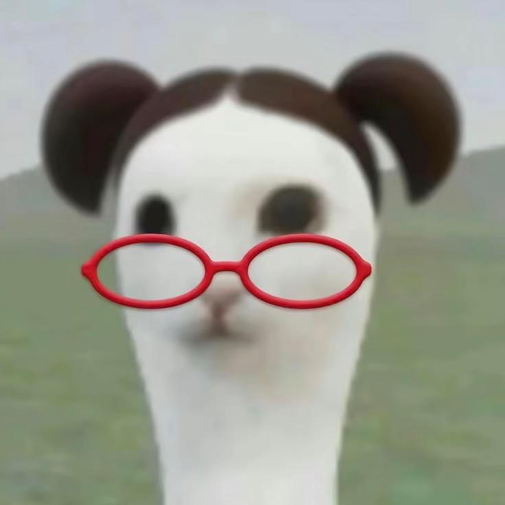 Yyyyi