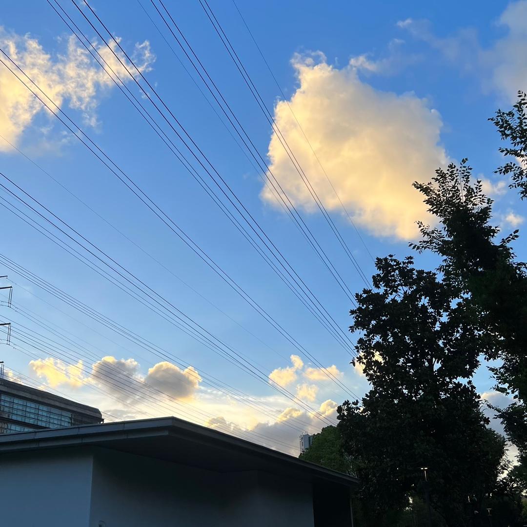 福来运到