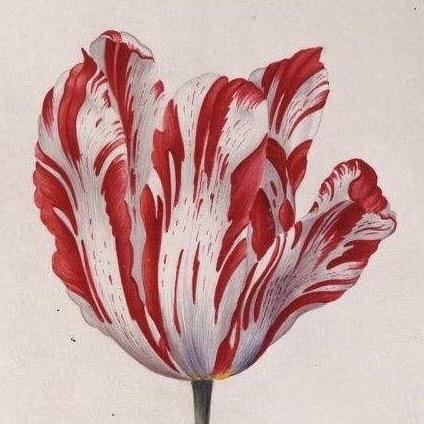 投机之王