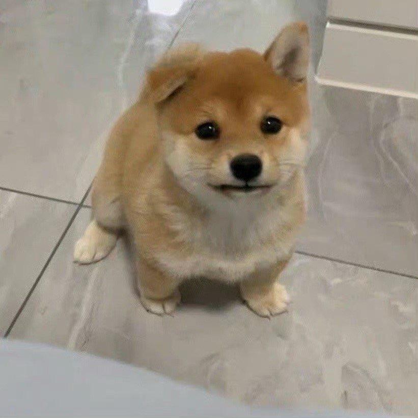 烦烦不凡头像