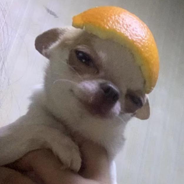 天下谁人不拉屎