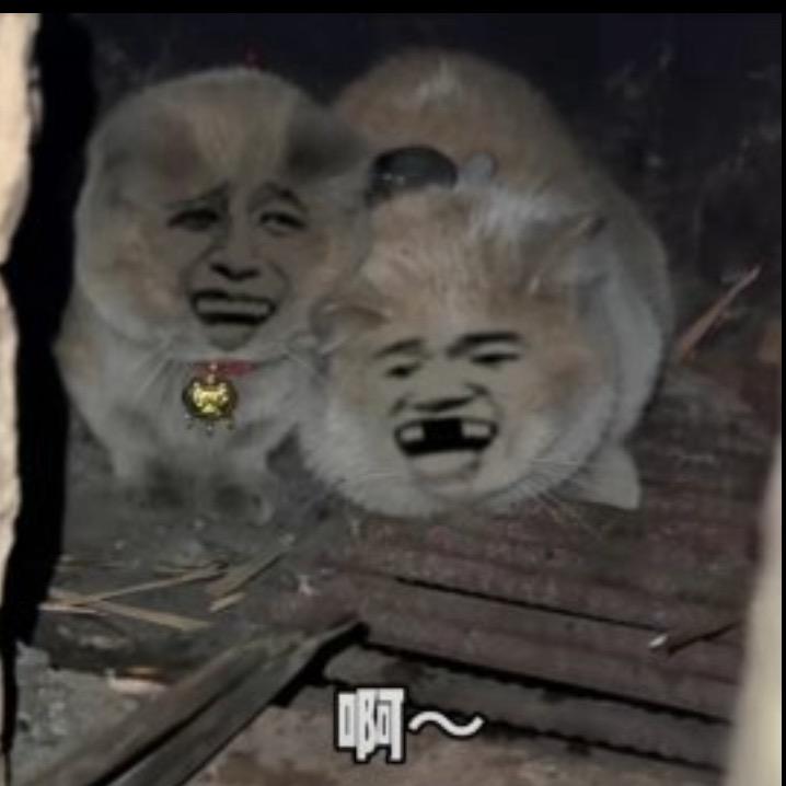 一口一个小余