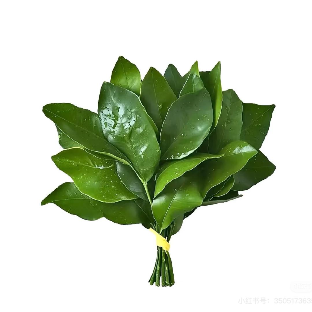 小可同学