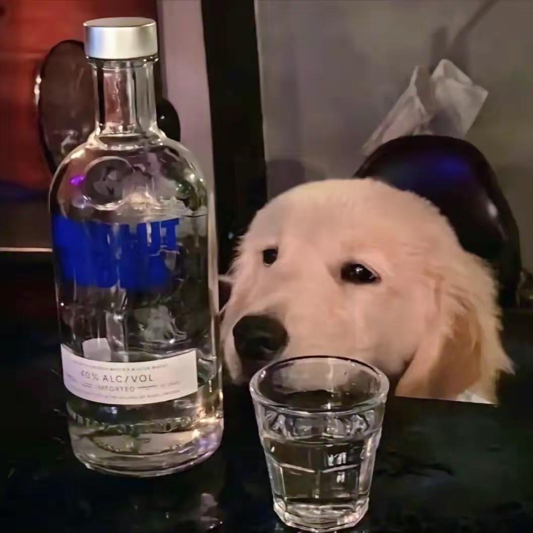 俊俊俊鹏.