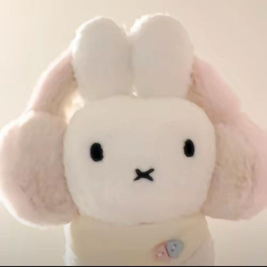 我想想我叫什么菲