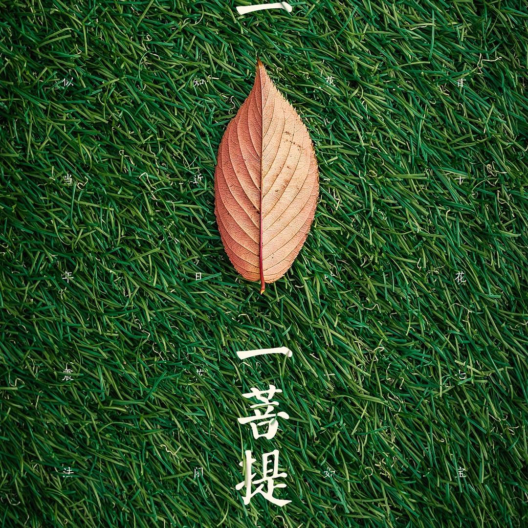 玉玄师兄