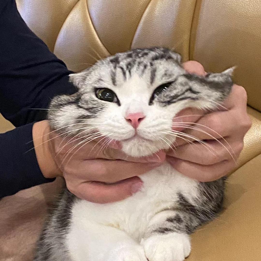 Eng