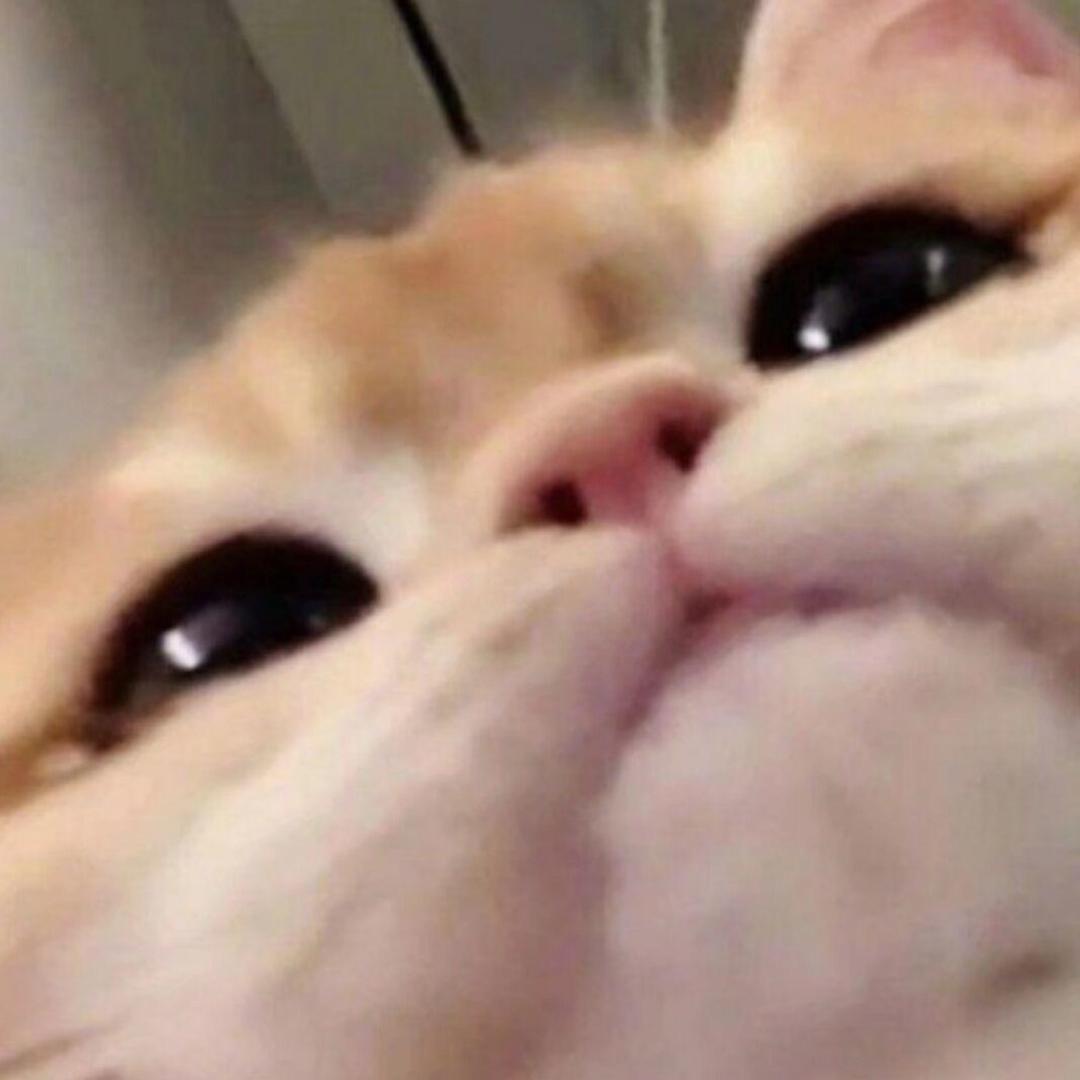 整点薯条子