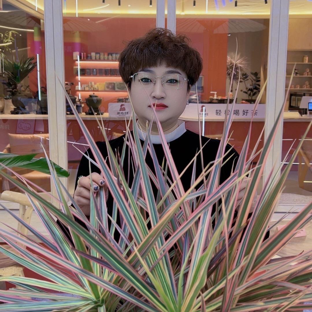 醉舞英花
