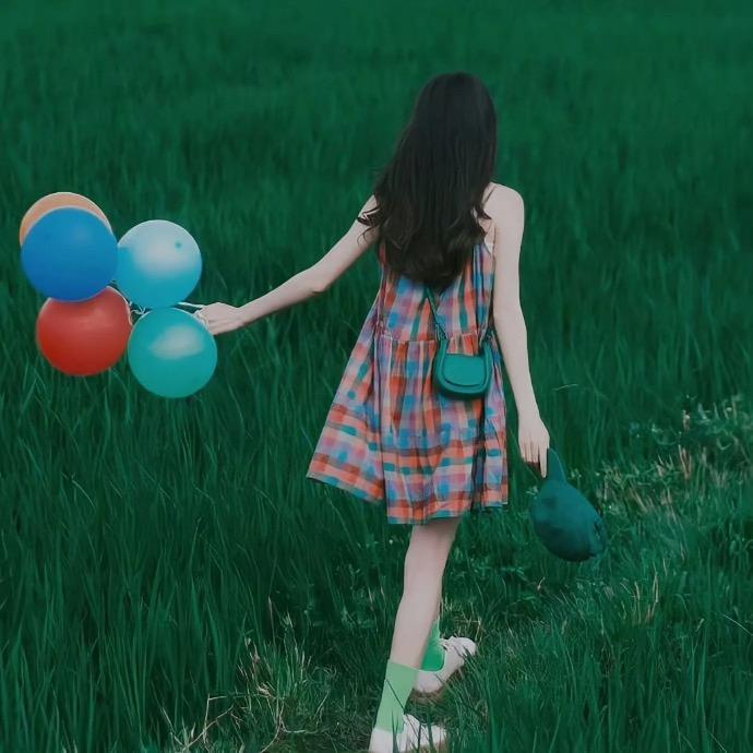 小羊数星星