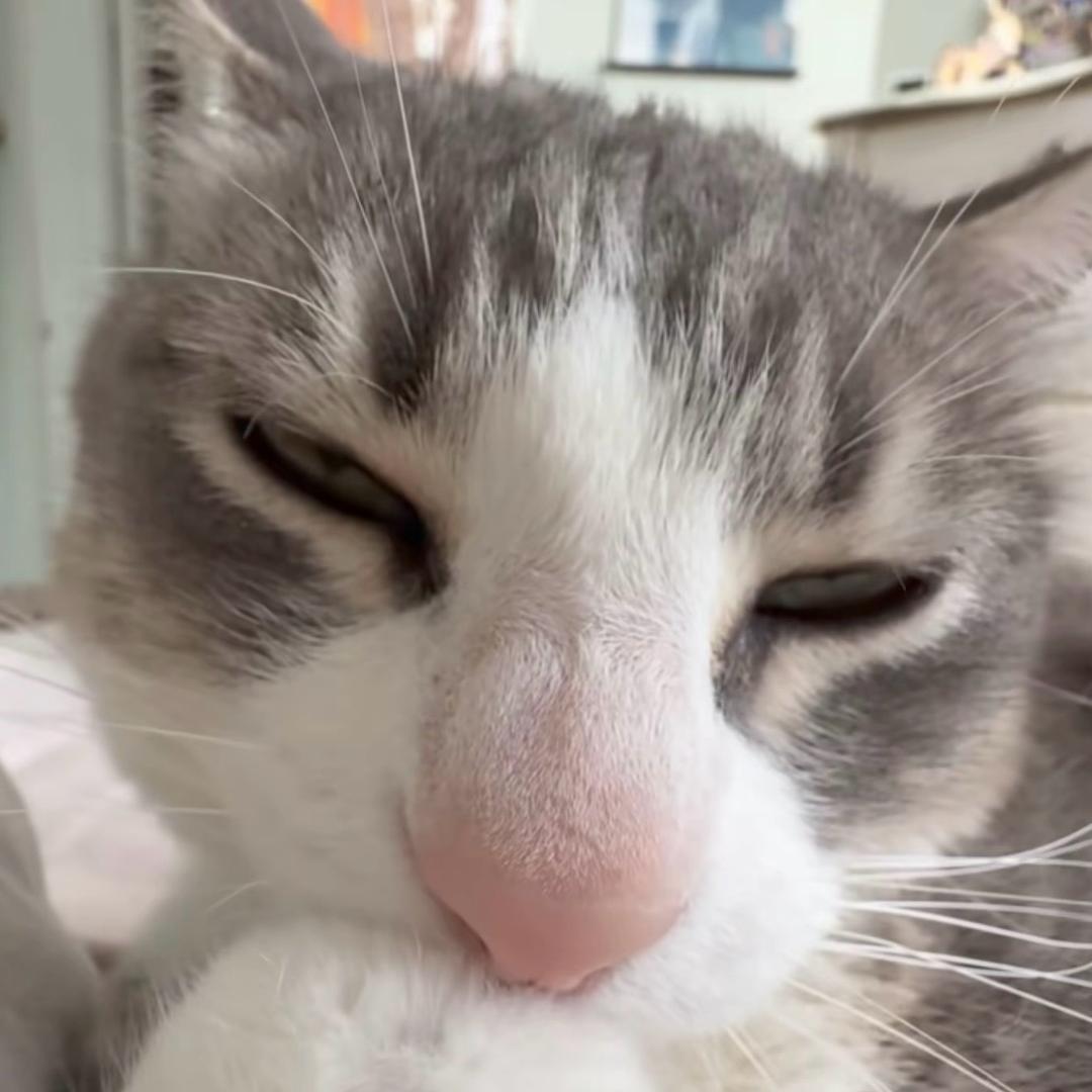🦊妳最珍贵