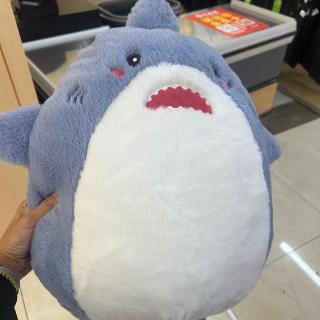 暴龙先生