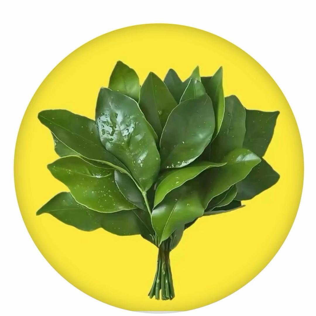 ℤ𝕙𝕒𝕟𝕘༃💕