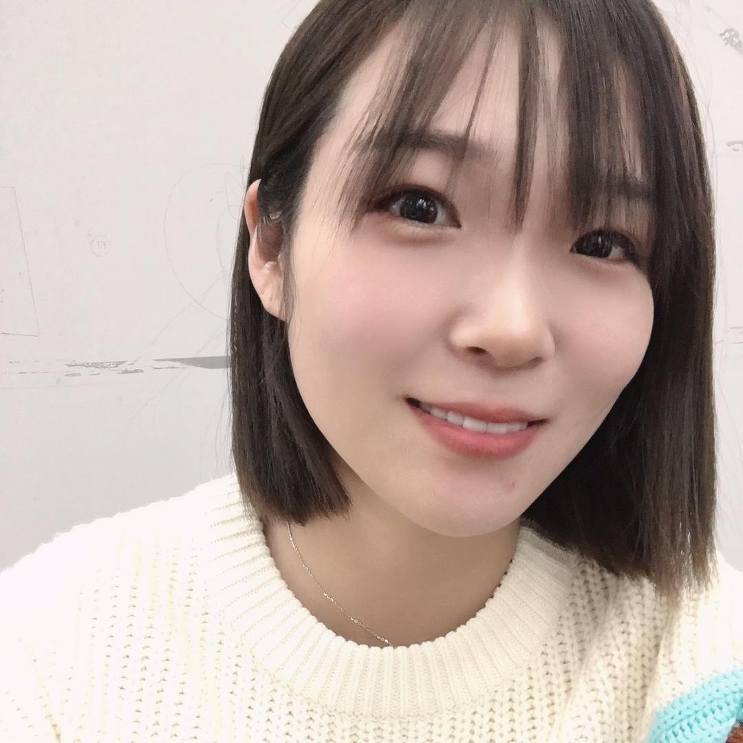 太阳下的向日葵