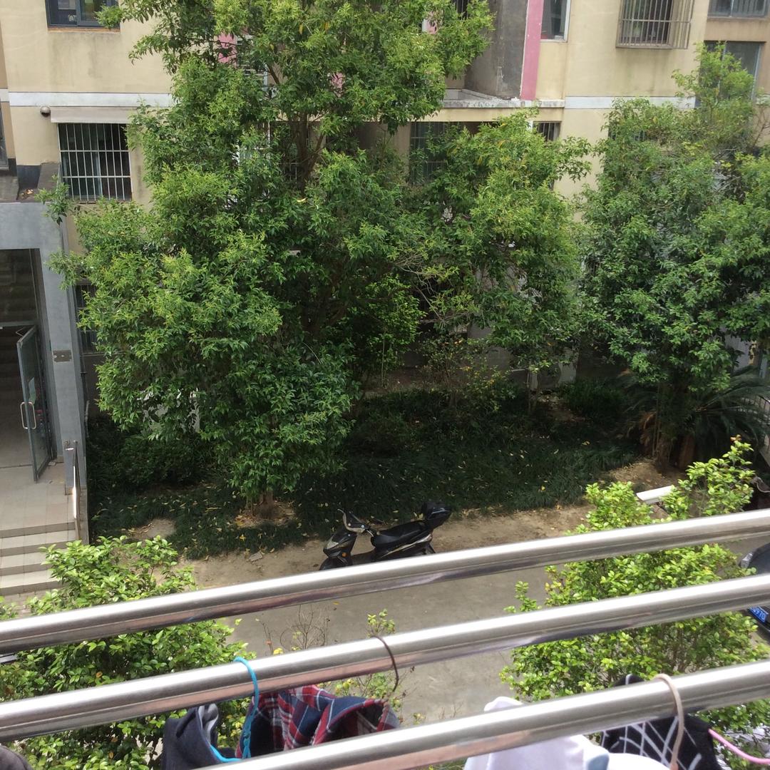 晚霞满天