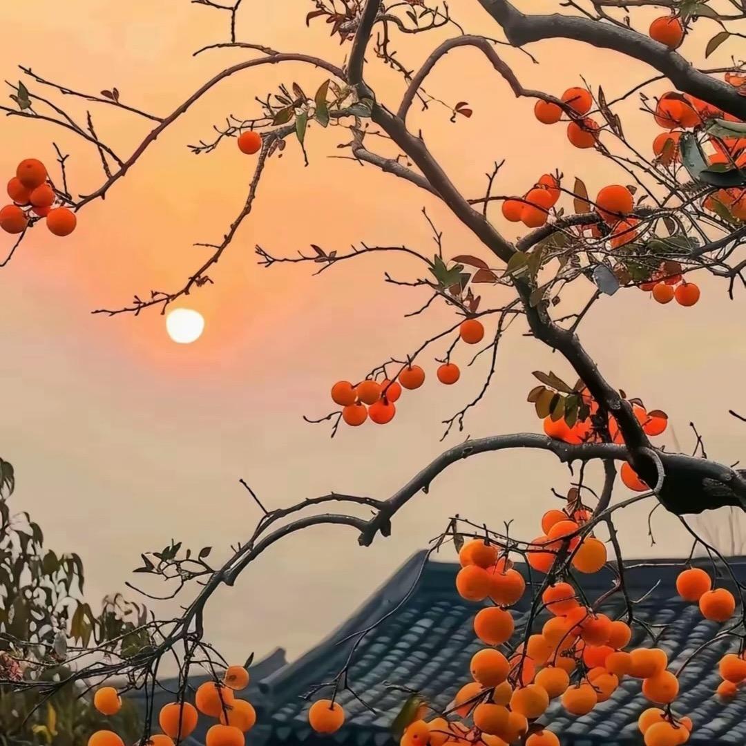 好方法