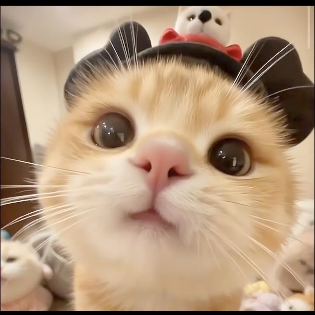 柒秋、