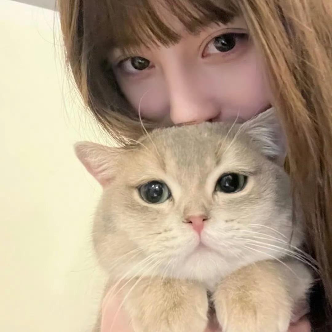 锦鲤小灰灰