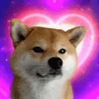 燕麦拿铁不燕麦