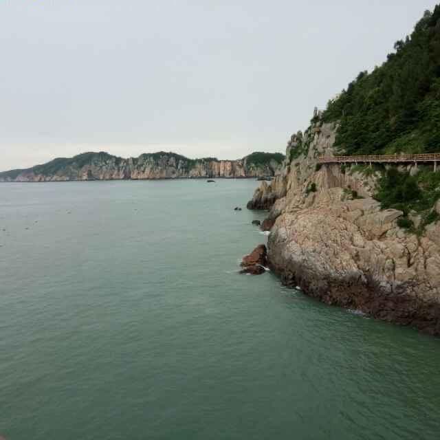 落落清欢
