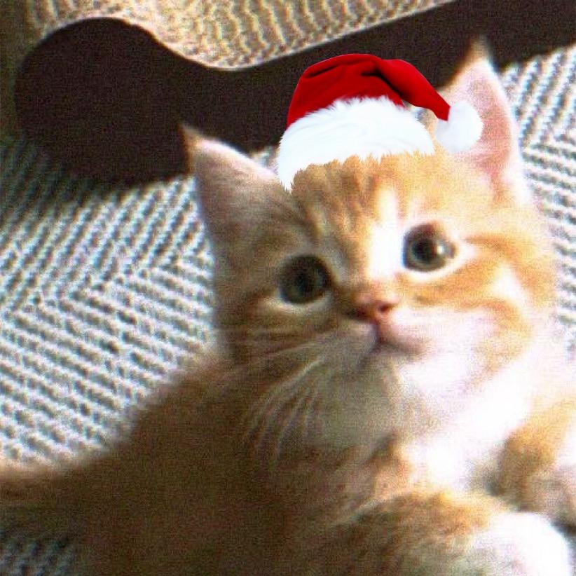 直火乌龙加多肉·