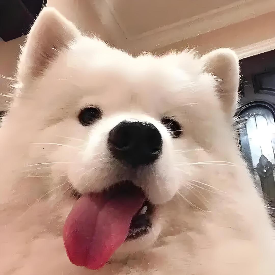 滴滴哒