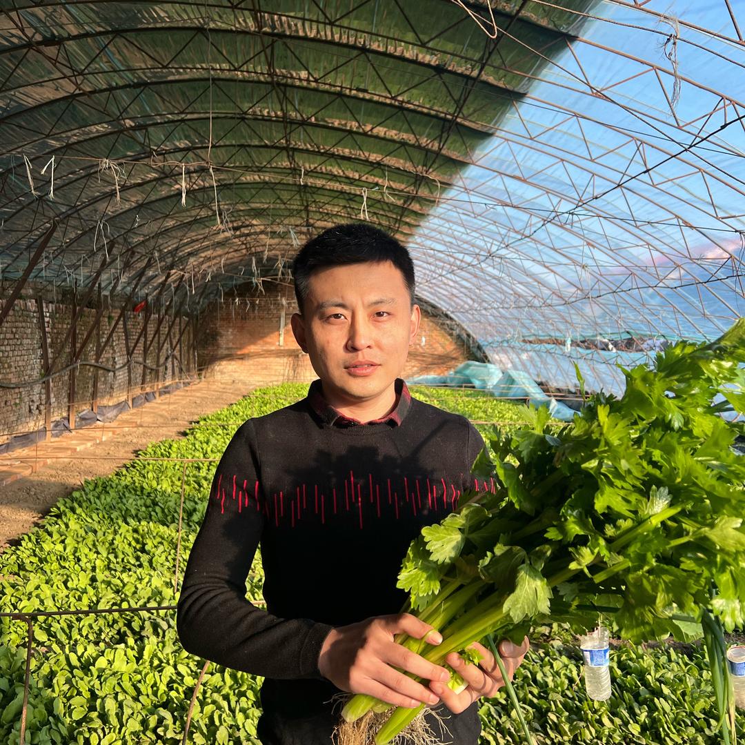 小石正能量（农产品）