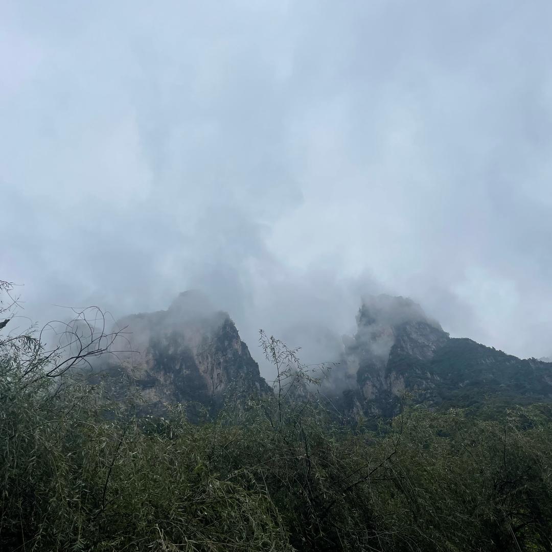惊鹤