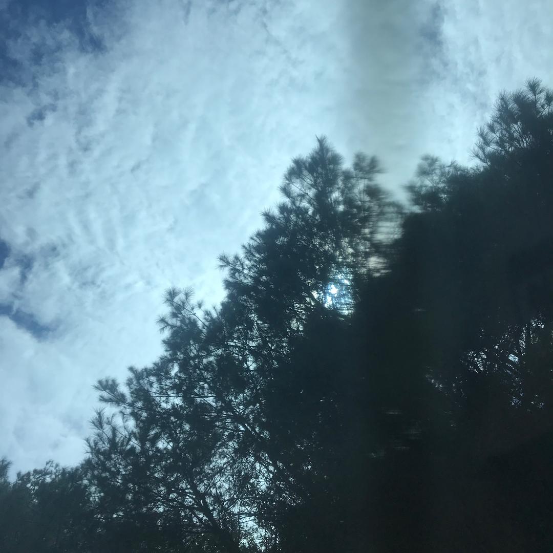 历史的长河（商品在橱窗）@抖音