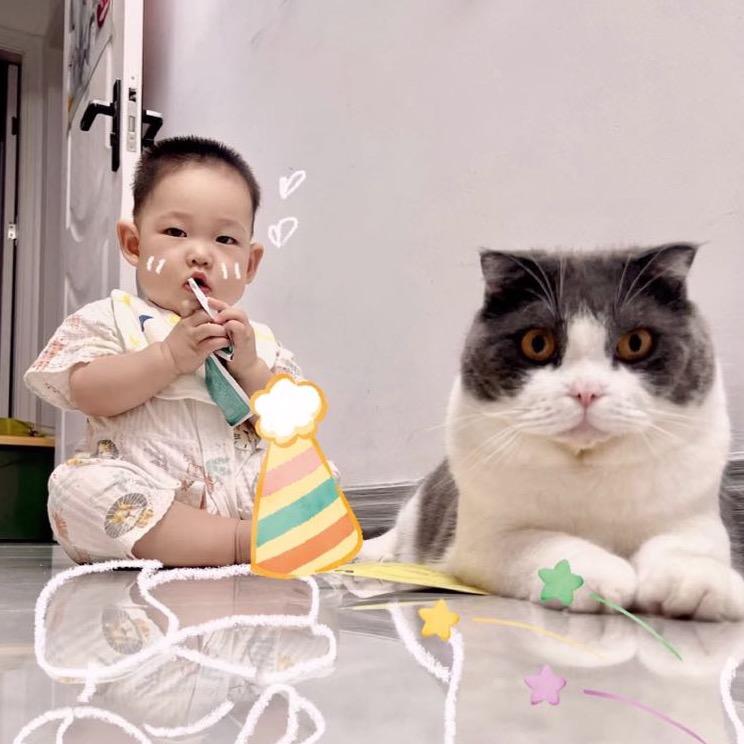 小柒🐱的家（四层小叠加）