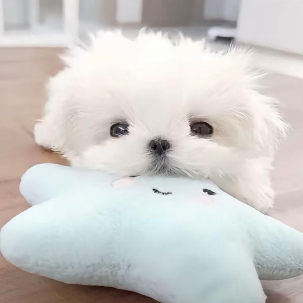 小w
