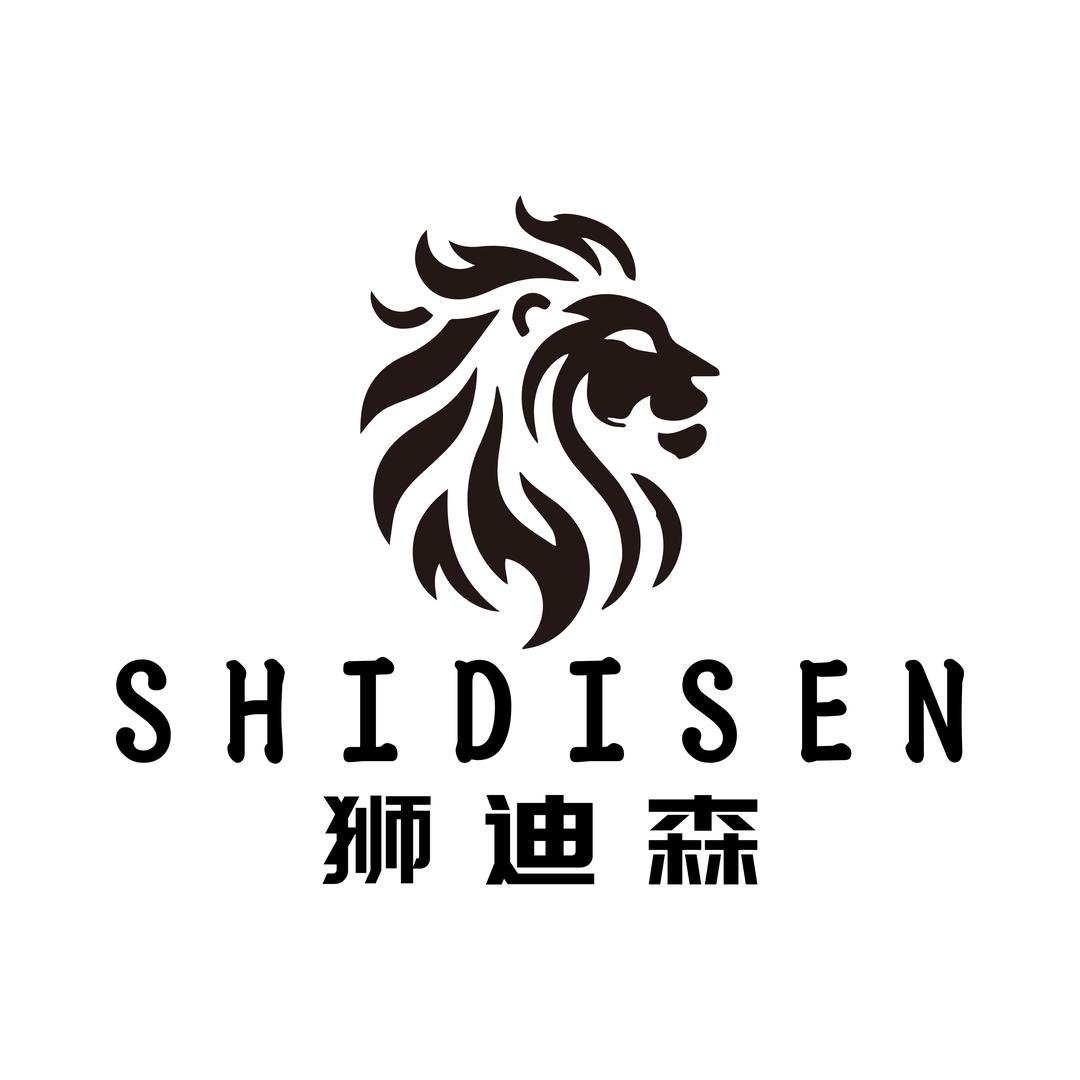 狮迪森/SHIDISEN服饰