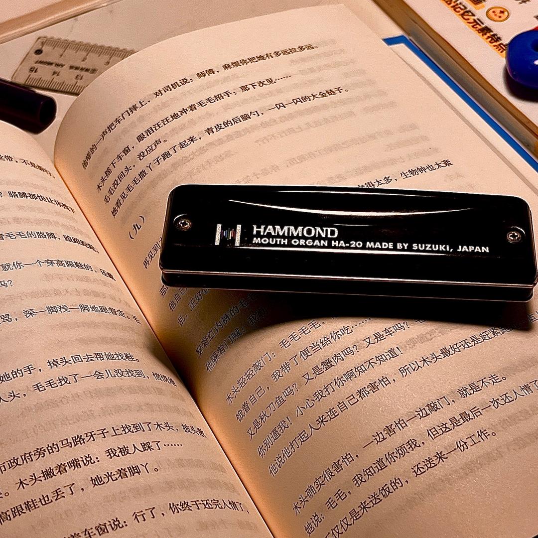 每日“帆”译