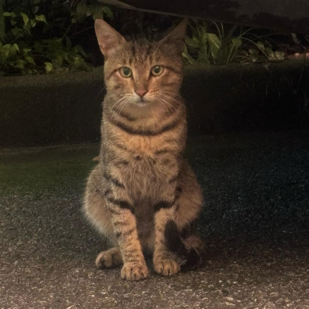 上海美业—杰哥