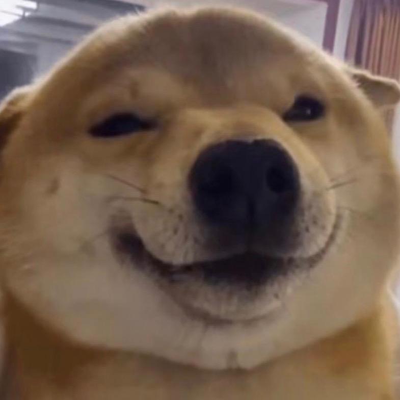 滴小猪