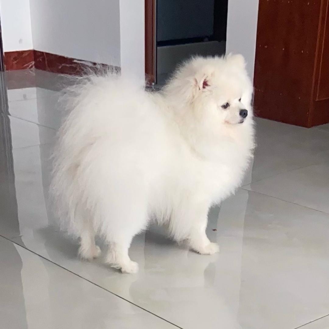 玉妞💜