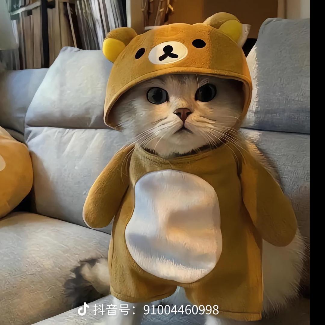 ღ🕊ꦿ💞搞钱要ຼ꧔᭄紧໑ₒ᭄