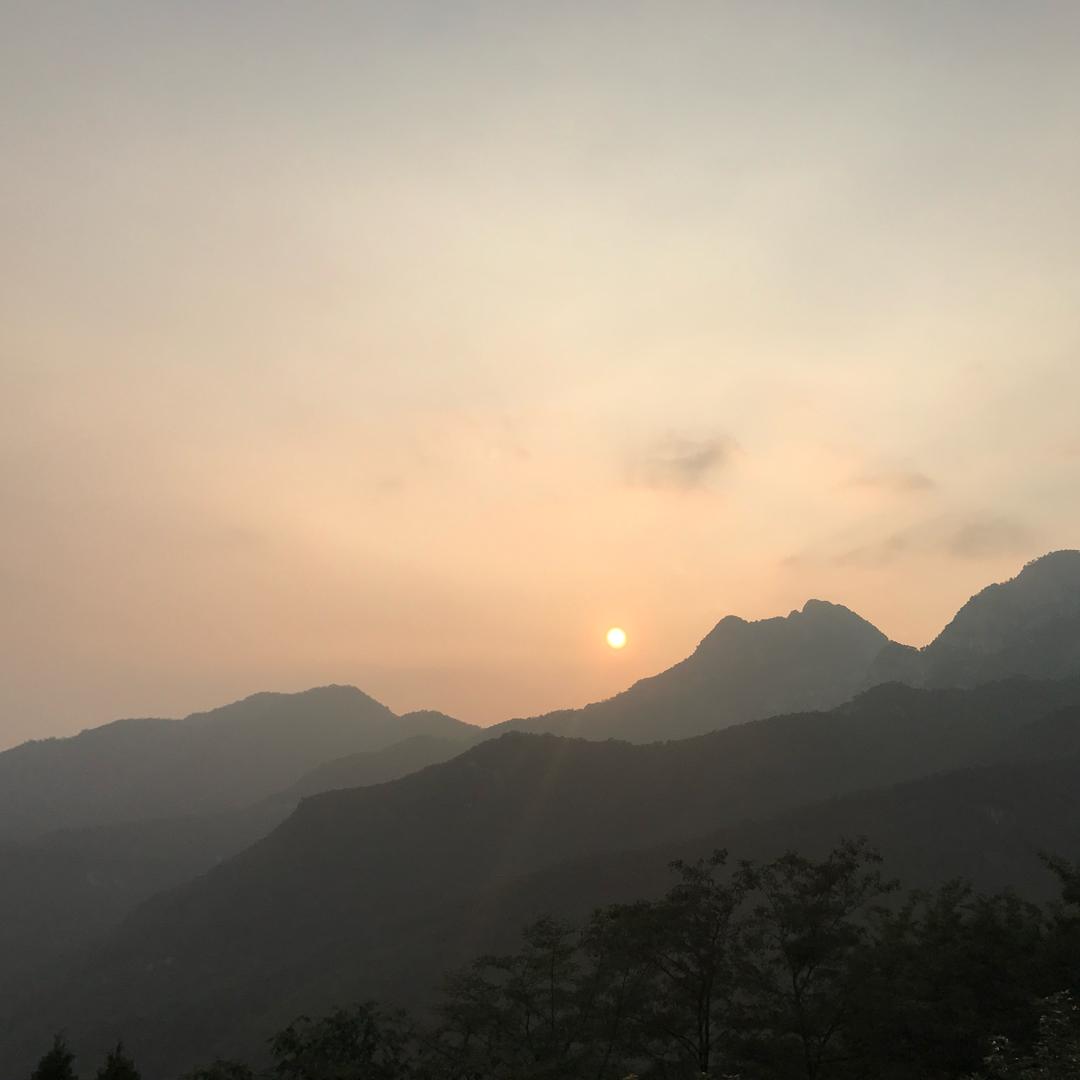 四下皆是你༊