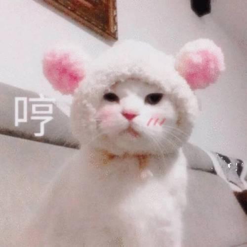 〰ᡣ𐭩