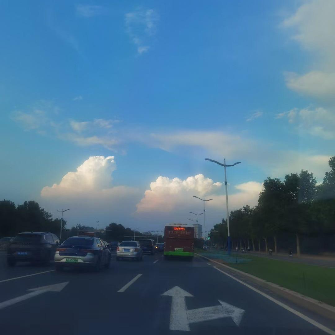 郑涛涛