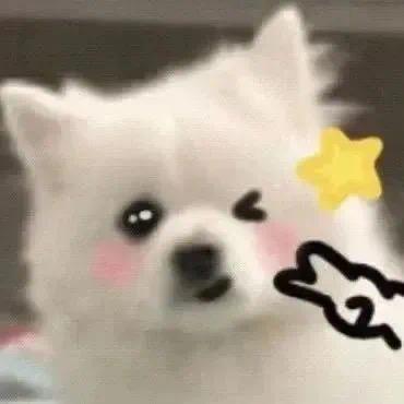 南方小豌豆.