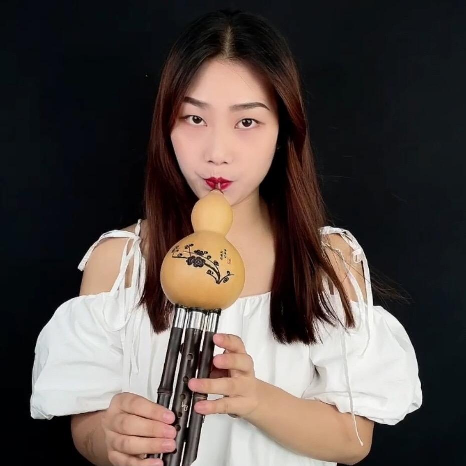 莎莎葫芦丝