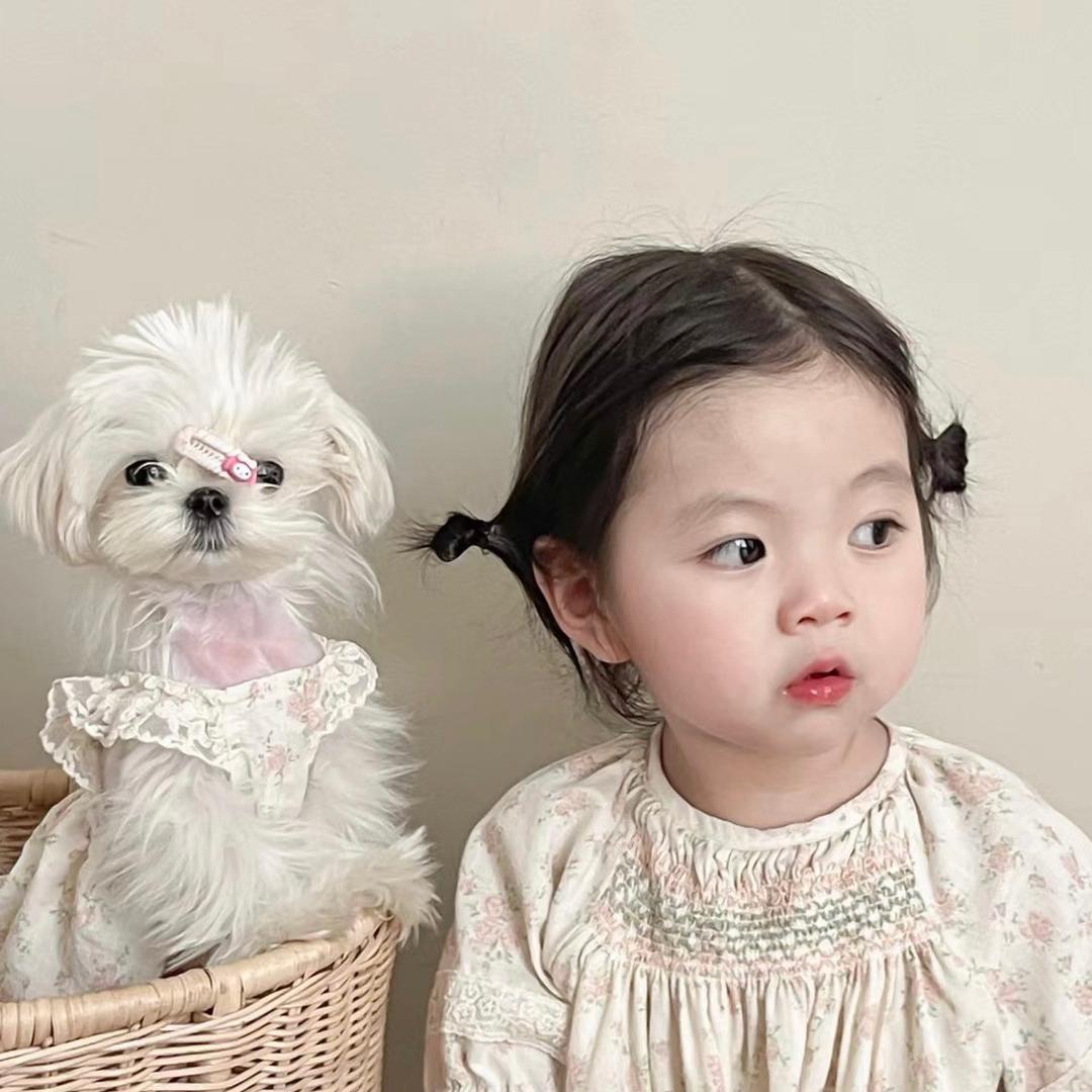 博爱•小秦