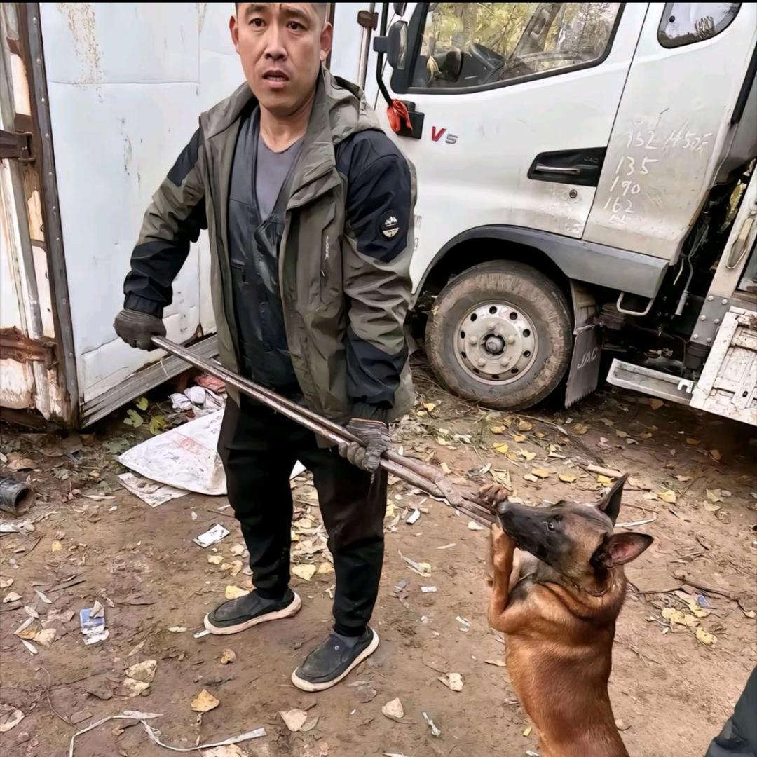 AAAA安徽套狗王🤴